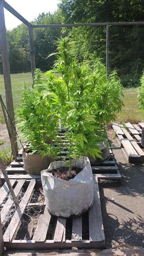 Maine Outdoor 2025