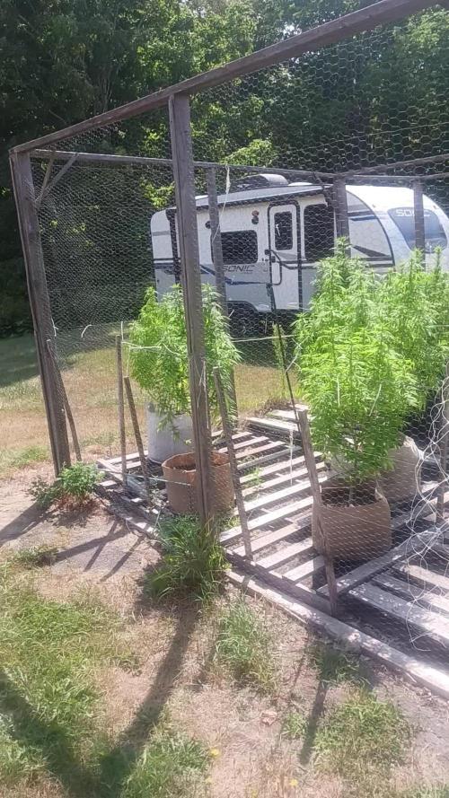 Maine Outdoor 2025