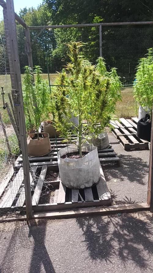 Maine Outdoor 2025