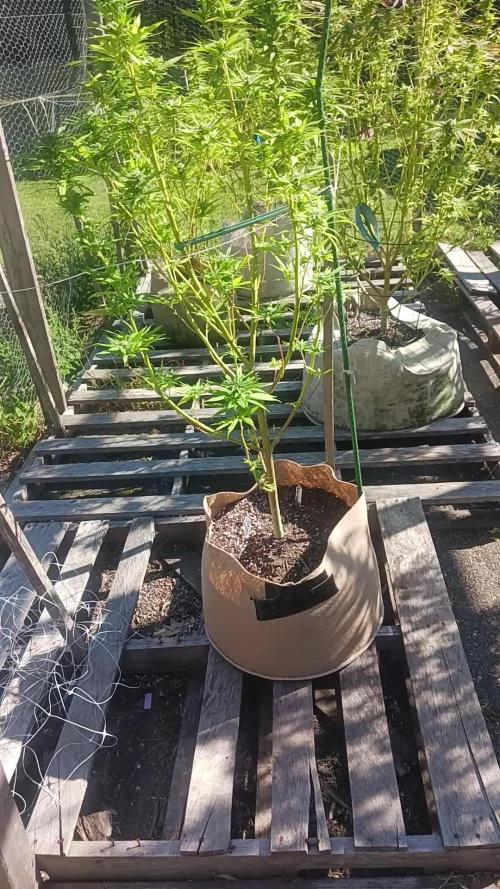 Maine Outdoor 2025
