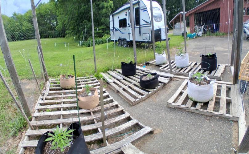 Maine Outdoor 2026 LATE START. Week 4 - Panorama of my cage.