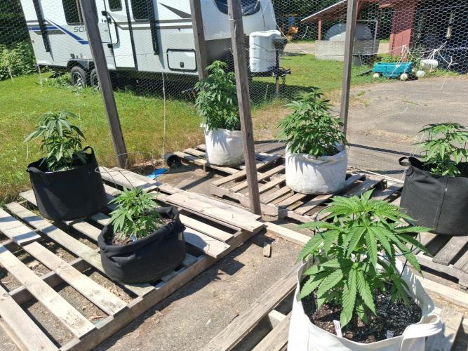 Maine Outdoor 2026 LATE START. Week 5