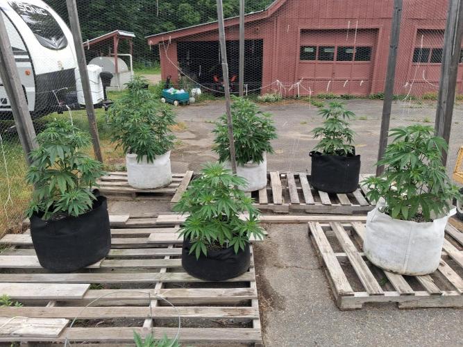 Maine Outdoor 2026 LATE START. Week 7
