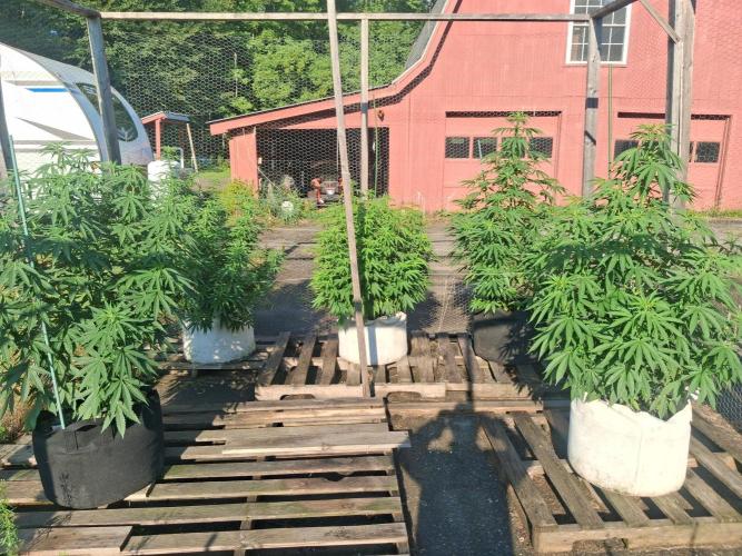 Maine Outdoor 2026 LATE START. Week 14