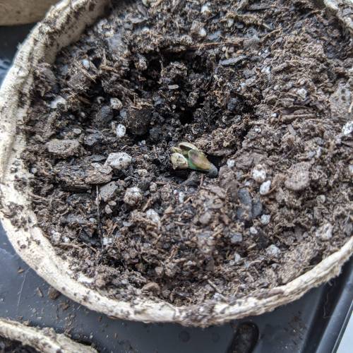 Gorilla Glue and Co. Week 1 - Day 2