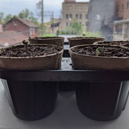 Gorilla Glue and Co. Week 1 - Day 2