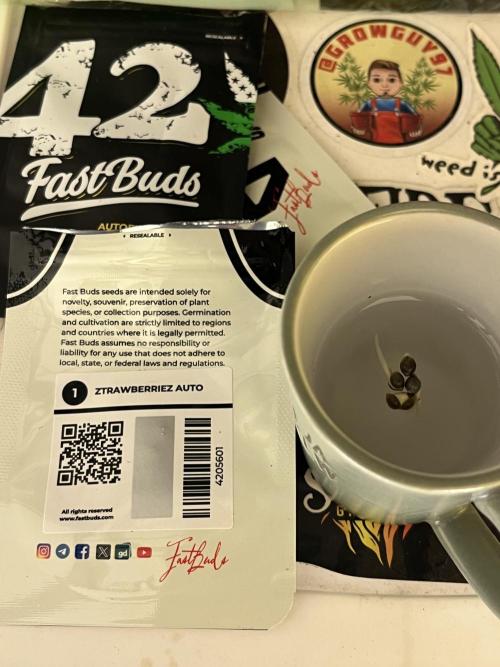 Comeback diary - Sponsored by FastBuds!. Week 1