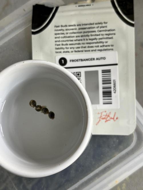 Comeback diary - Sponsored by FastBuds!. Week 1