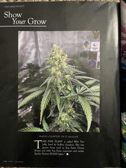 Solfire & Exotic Genetics  . Week 15 - Full page spread 😎💨