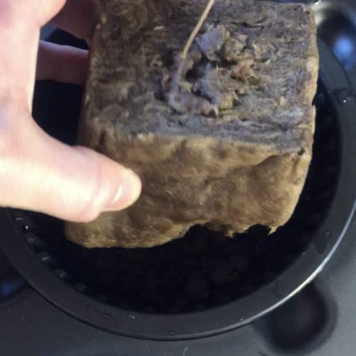 Purple Punsh - Hydro. Week 1 - Speedgrow Green Starter Cubes