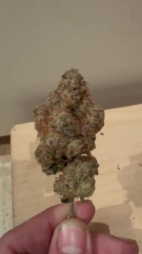 Super boof y Gary payton barneys farm