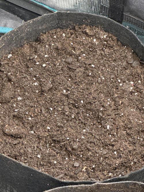 GOAT'lato Auto RQS. Week 0 - Play