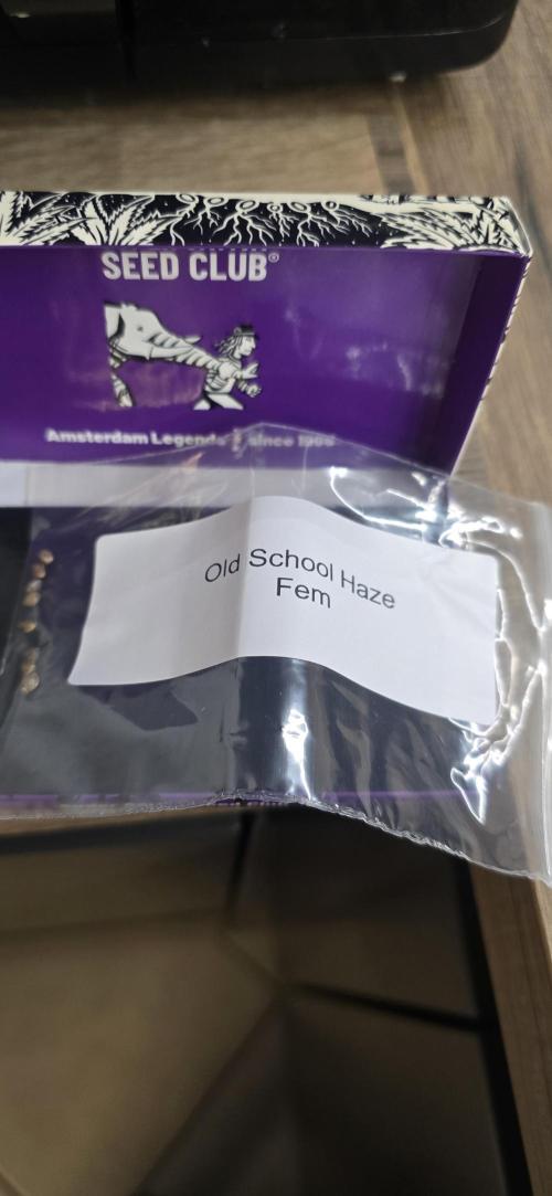 Old School Haze - Super Sativa Seed Club. Week 0