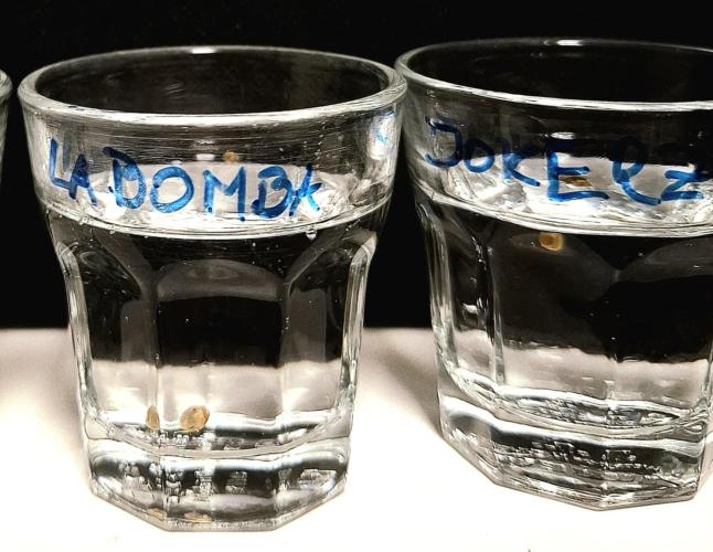 HiSeeds Test Grow. Week 0 - DAY 0
Boiled water with a drop of peroxide.