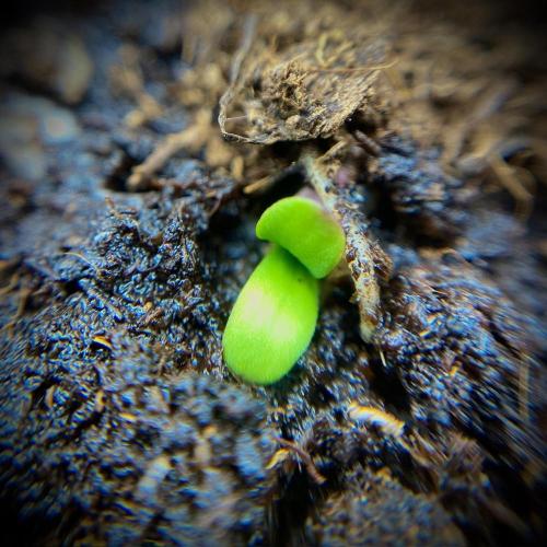 C R I T I C A L. Week 1 - Day 3