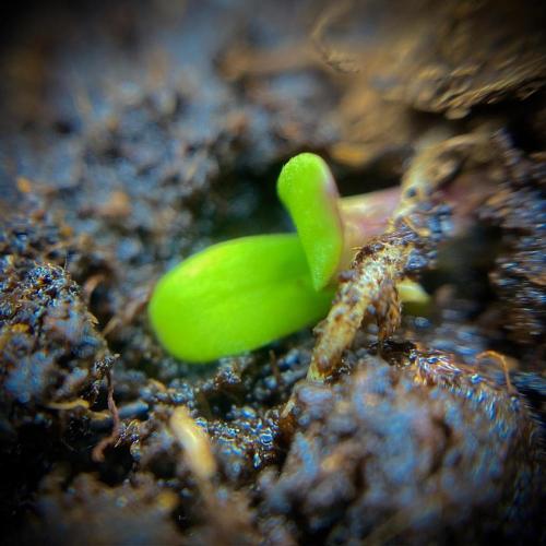 C R I T I C A L. Week 1 - Day 3