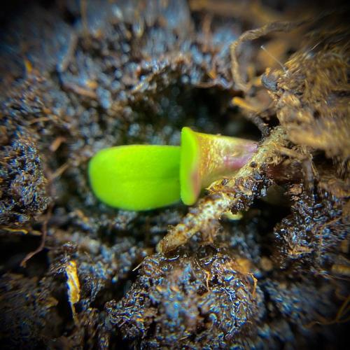 C R I T I C A L. Week 1 - Day 3