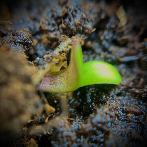 C R I T I C A L. Week 1 - Day 3