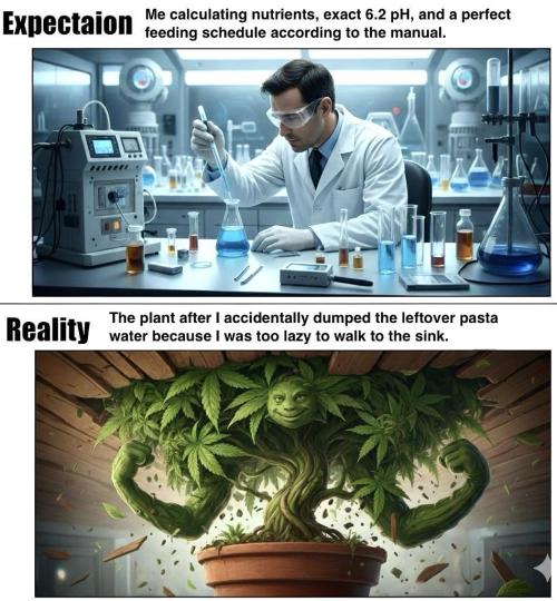 C R I T I C A L. Week 3 - Meme Contest