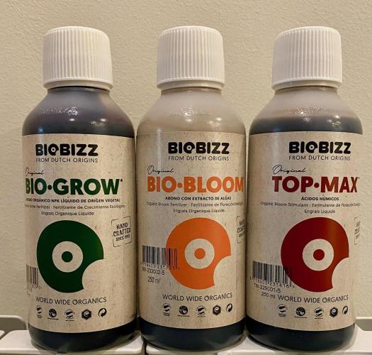 S O U R  S T O M P E R Auto. Week 0 - BioBizz