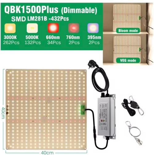 S O U R  S T O M P E R Auto. Week 0 - QBK1500Plus