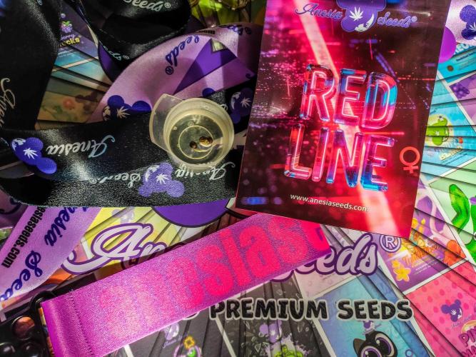 Red Line 37% thc. Week 0