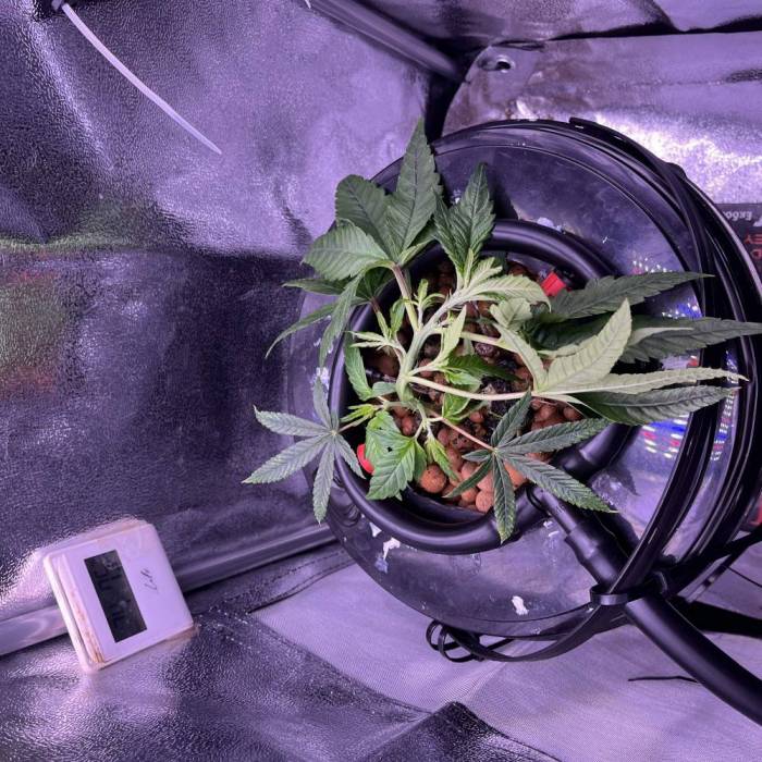 Old Habits. Week 2 - Day 12