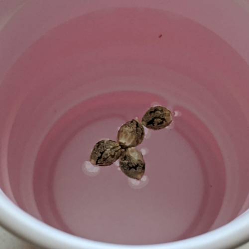 FastBuds - G14. Week 1