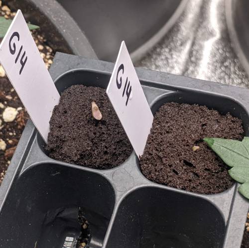 FastBuds - G14. Week 1