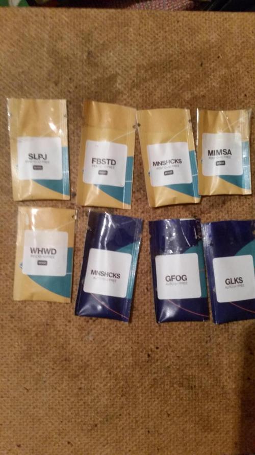 2026 május - - - október. Week 0 - Weedseedsexpress - varázsbabok