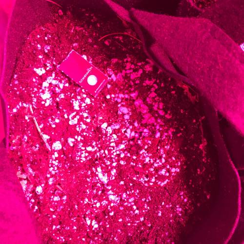 King Tut. Week 1 - Feb 3