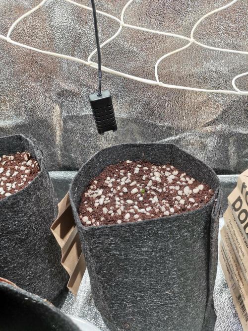 Primer Humboldt. Week 0