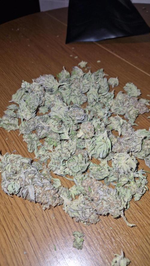 Mixed scrog. Week 14