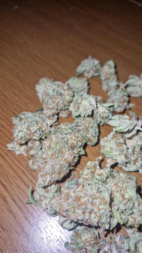 Mixed scrog. Week 14