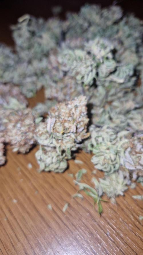 Mixed scrog. Week 14