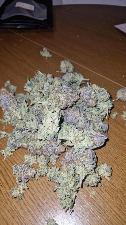 Mixed scrog. Week 14