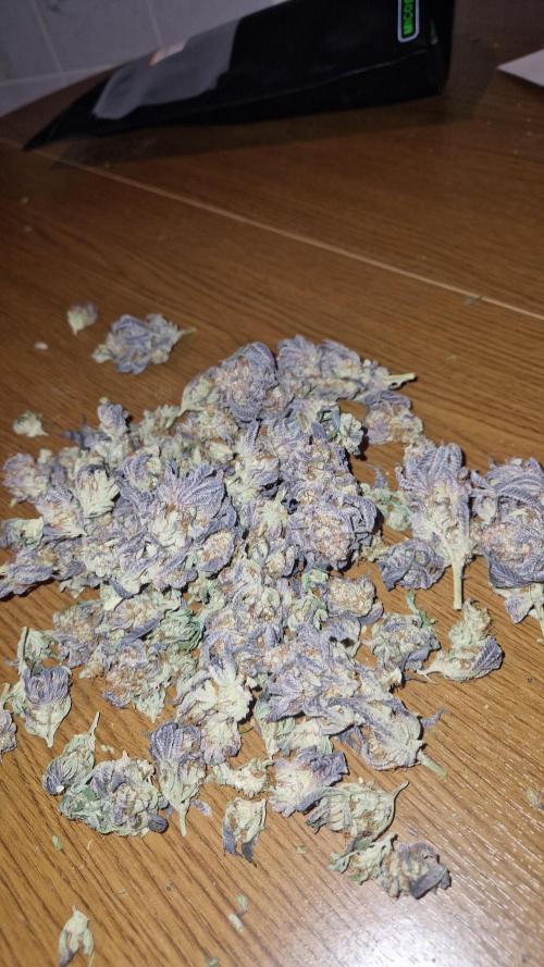 Mixed scrog. Week 14