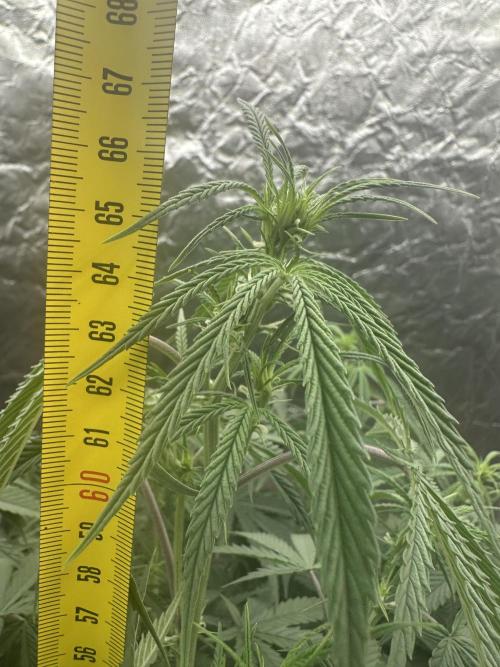 My first report 😊. Week 8