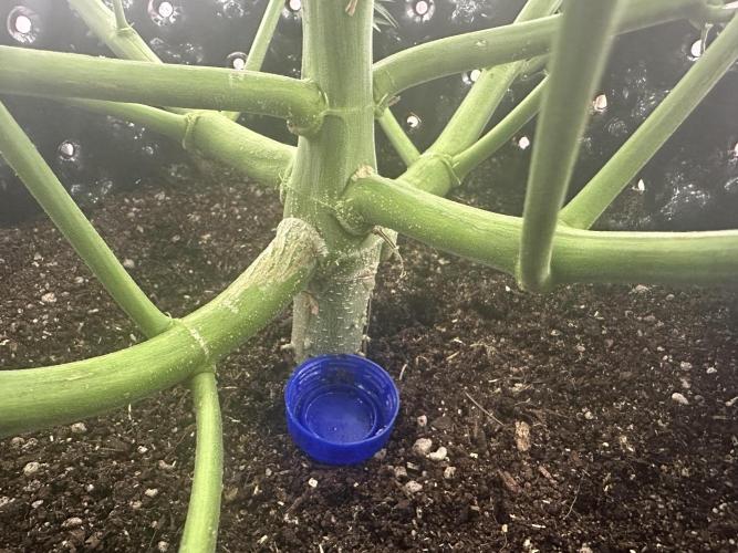 My first report 😊. Week 8