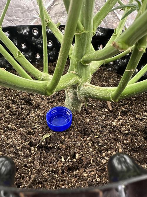 My first report 😊. Week 10