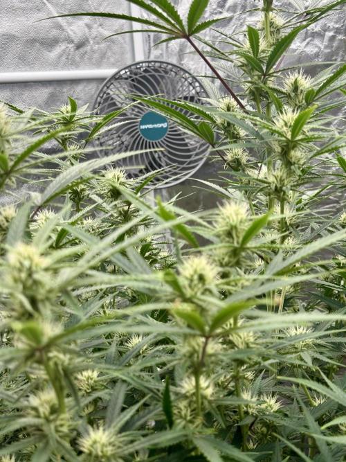 My first report 😊. Week 10