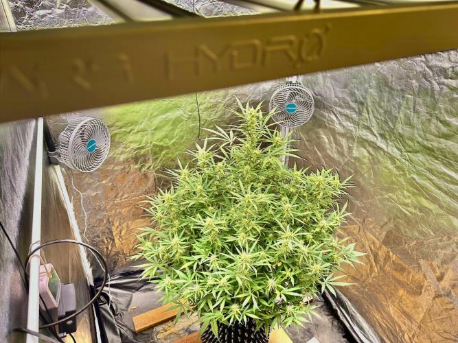 My first report 😊. Week 10