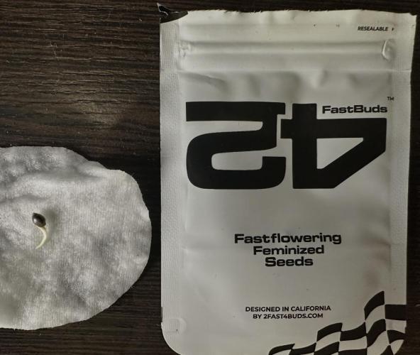 Trying Photoperiod. Week 0