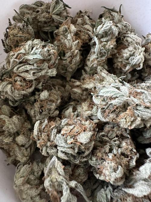 Apple Strudel & Grape Cookies. Week 9