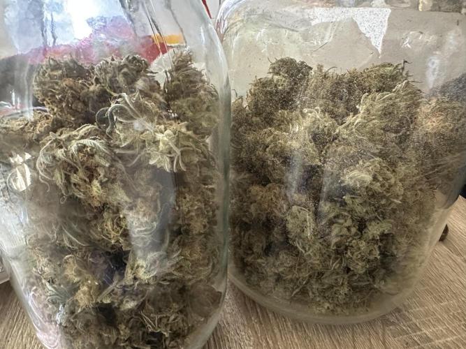 Apple Strudel & Grape Cookies. Week 12