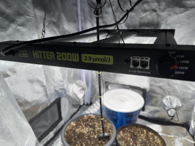 3 kytky. Week 1