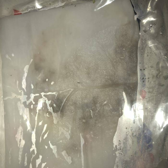 ls grow. Week 1