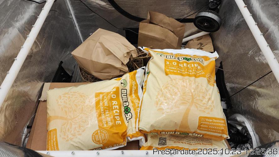 Heady OG BX1 - Mendo Dope - Fabric Pots Scrog. Week 27