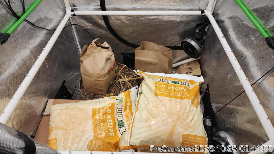 Chill Out OG - MrGrowIt - FabricPotScrog. Week 0