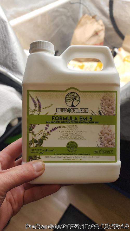 Chill Out OG - MrGrowIt - FabricPotScrog. Week 0